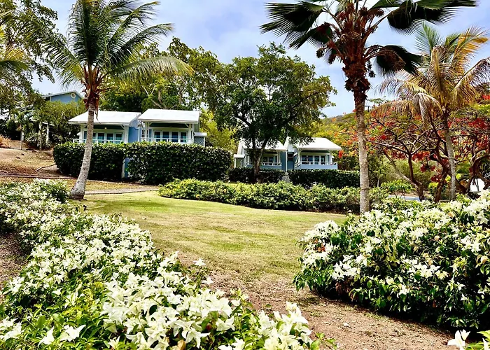 Pet Friendly hotel: Club Seabourne Hotel