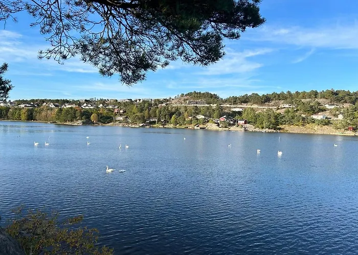 Arcipelago On Langenes Kristiansand Seaview Boat Beach