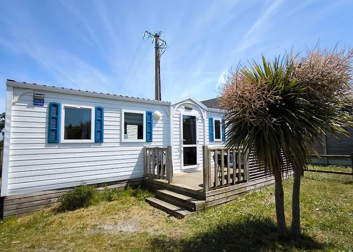 Hôtel accueillant les animaux: Village Vacances Les Sables d'Or