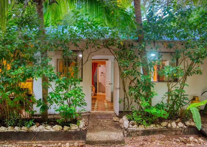 Jungles Edge Hotel, Jiu Jitsu, Muay Thai Retreat Center