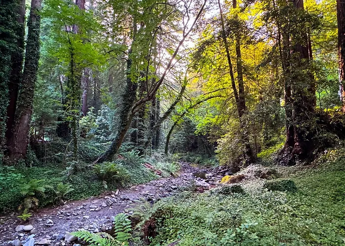 Casalarada - House By The Creek