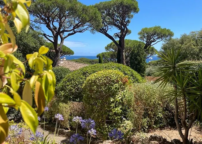 Villa Les Chenes - Golfe De Saint-Tropez Experience