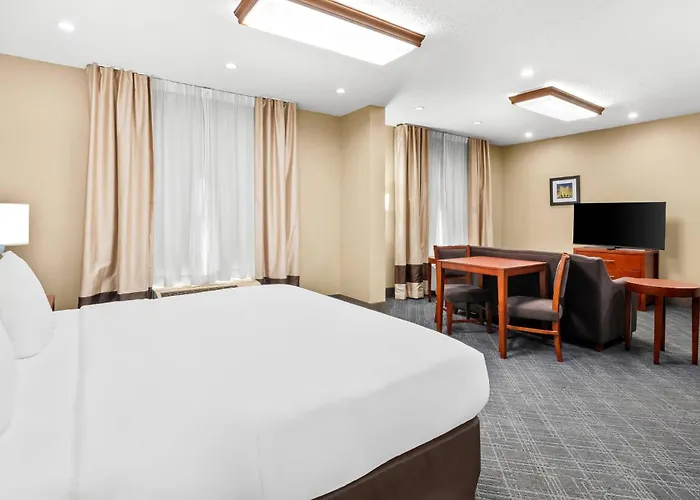 Comfort University Area