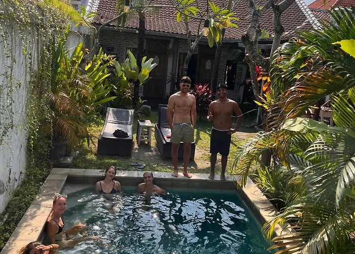 Jungle House