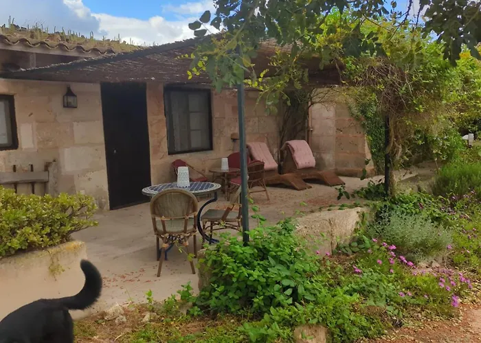 Hotel con piscina: Agroturismo Finca Sant Blai