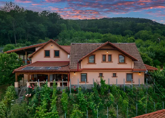 Casa Adam