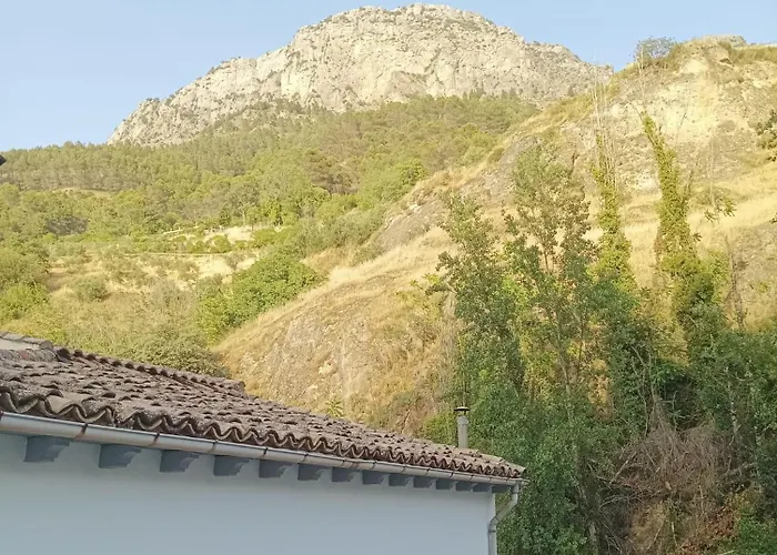 Perros hoteles Casa Los Patos