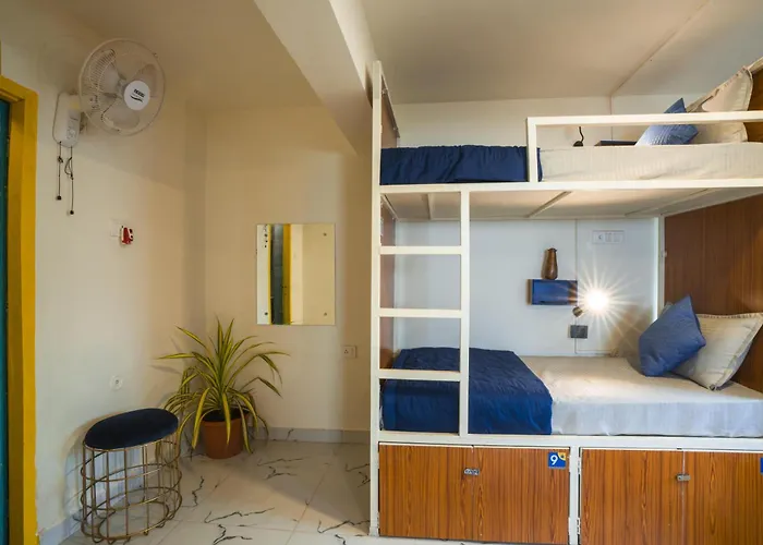 Pet Friendly hotel: Shalom Backpackers Anjuna Goa