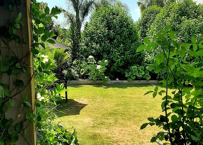 Tree View Studio