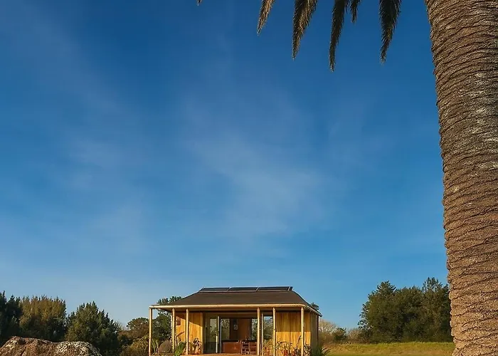 Allure - Your Auckland Wellbeing Sanctuary