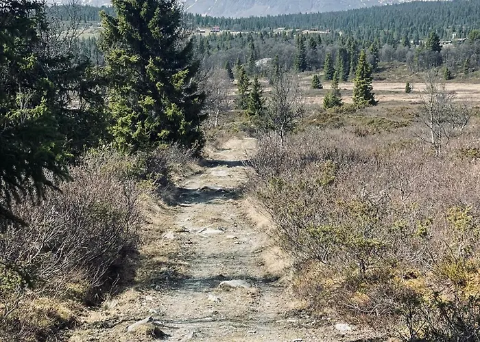 No71 Golsfjellet