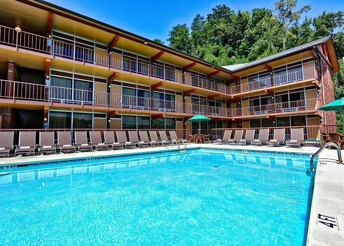 Beach Hotels Wild Bear Inn