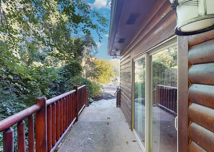 Black Bear Hideaway Cabin