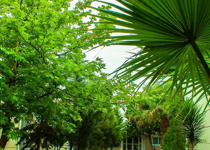 The Crescent Beach Hotel