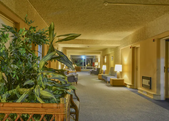 Hotel familiar: Carvoeiro Garden Hotel