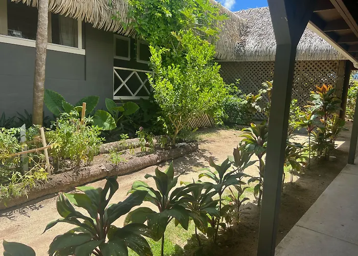 Resort: Club Raro Resort - Adults Only