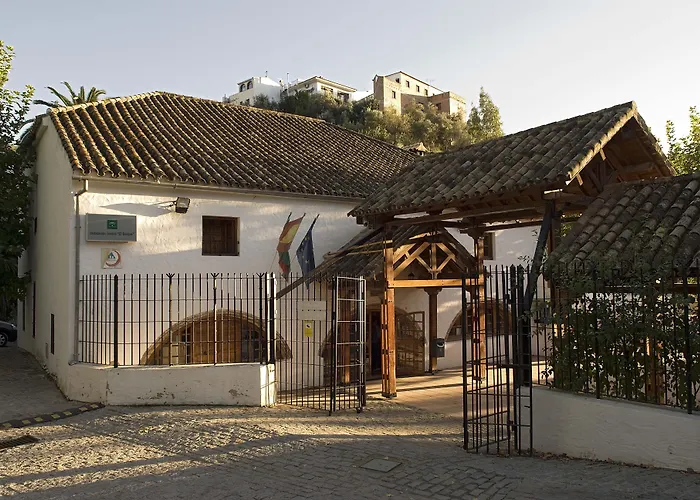 Juvenil