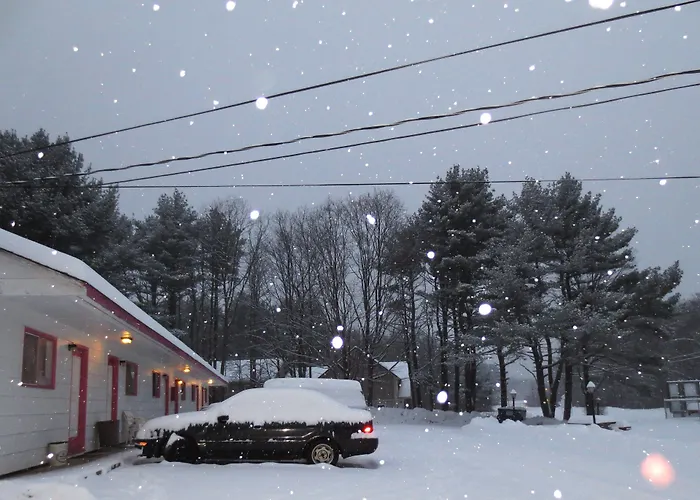 Motel: Four Seasons Motel