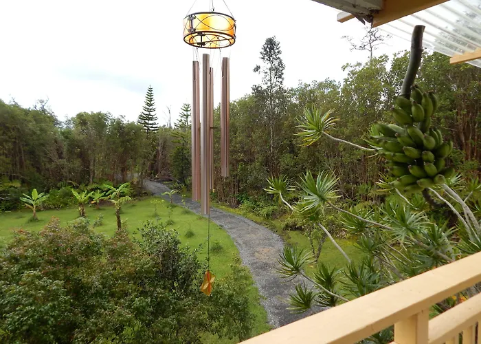 Fern Forest Getaway