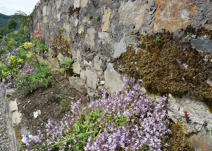 Craigmhor Lodge & Courtyard