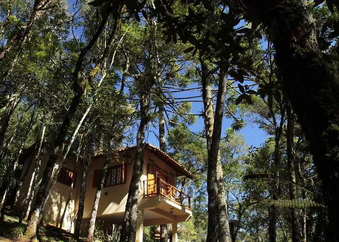 Hotel para famílias: Pousada Chalé da Floresta