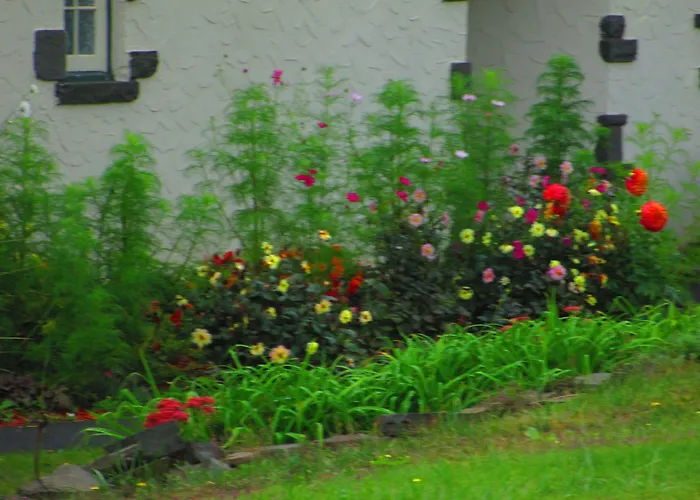 Georgian Garden