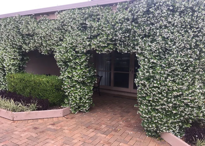 Grapevines Boutique Accommodation