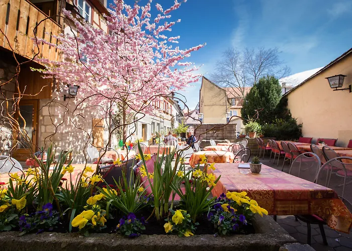 Hotel-Gasthof Goldener Greifen