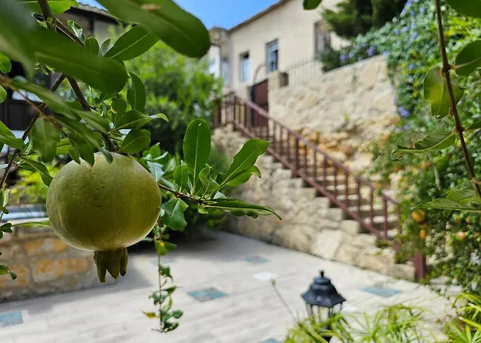 Flor Guest House