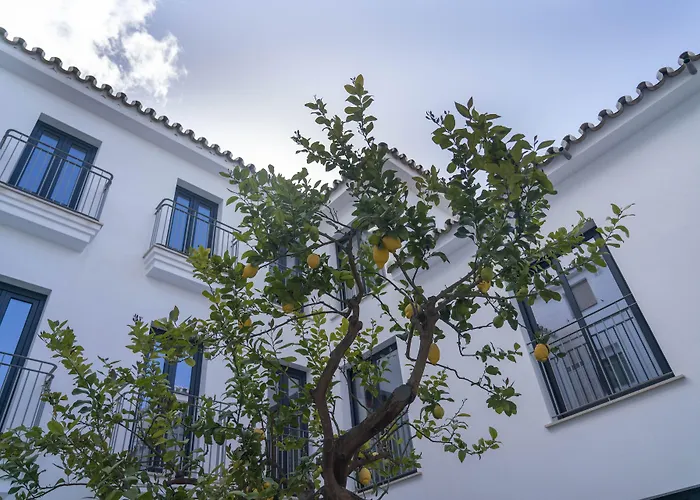 Hotel barato: Opuntia Hotel Boutique