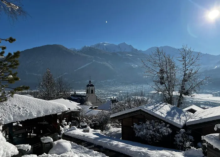 Villa Les Greniers du Mont Blanc à Passy 
