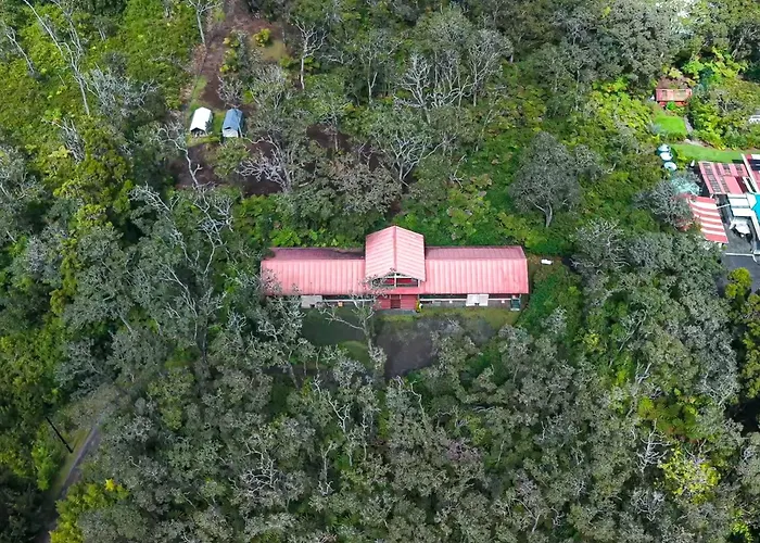 Volcano Forest