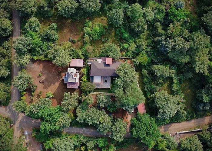 The Marigold Villa