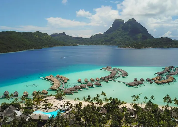 Hôtel accueillant les animaux: Le Bora Bora By Pearl Resorts