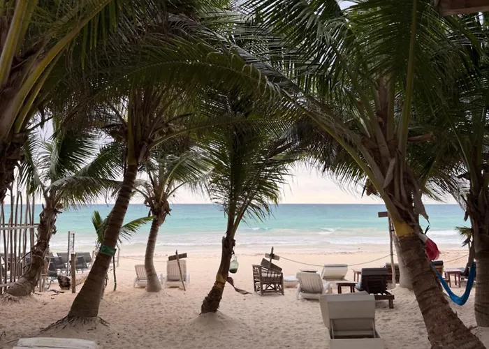 Beach Hotels Chavez Eco Beach And Cabanas