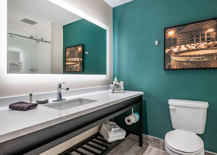 Pets Allowed Hotel Cambria Louisville Downtown-Whiskey Row