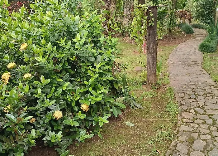 Armazem Do Porto Chale Ixora
