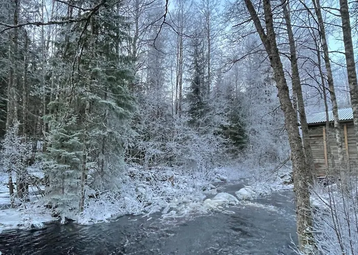 Katiskosken Joenrantamoekki
