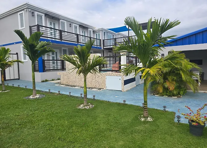2 Palmas Str