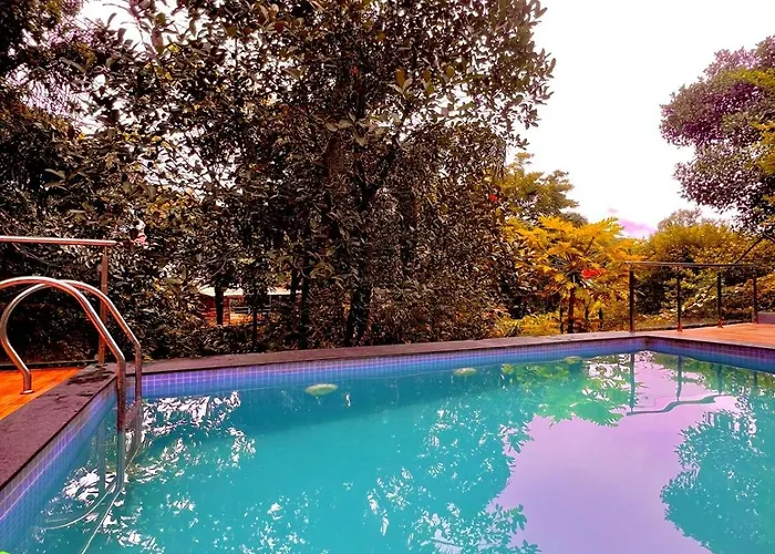 Nature View Friends Villa - The Dream Stays Ll 3 Bhk Ll Big Infinity Pool