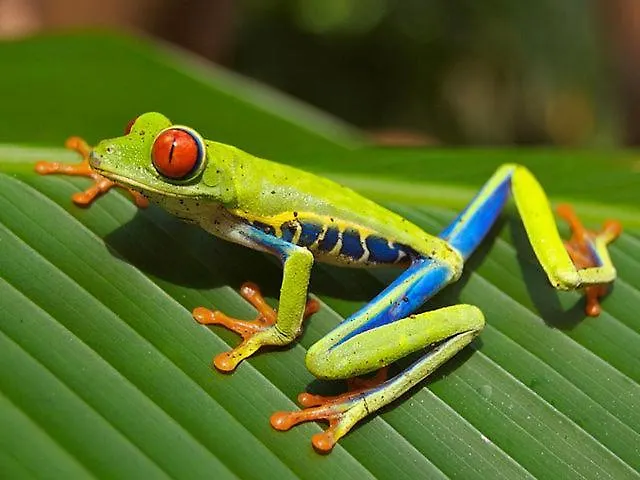 Incroyable Villa Hermosamara