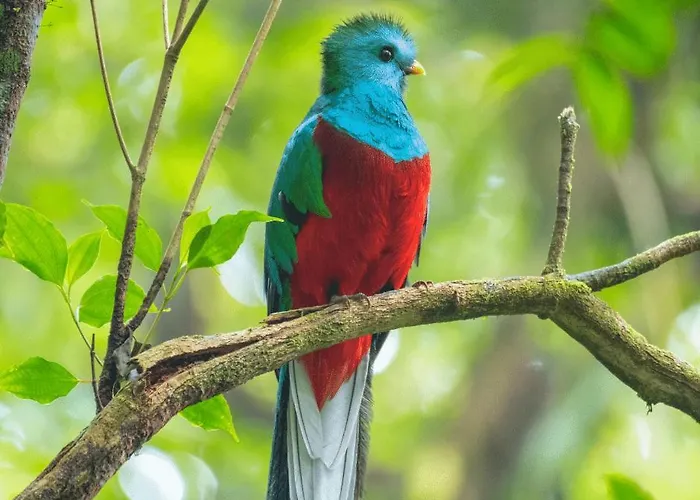 Incroyable Villa Hermosamara