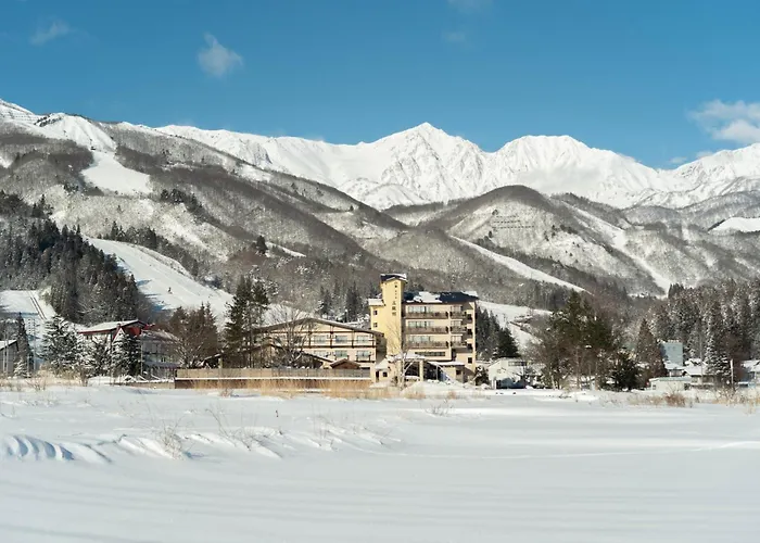 3 star hotel: Hotel Goryukan