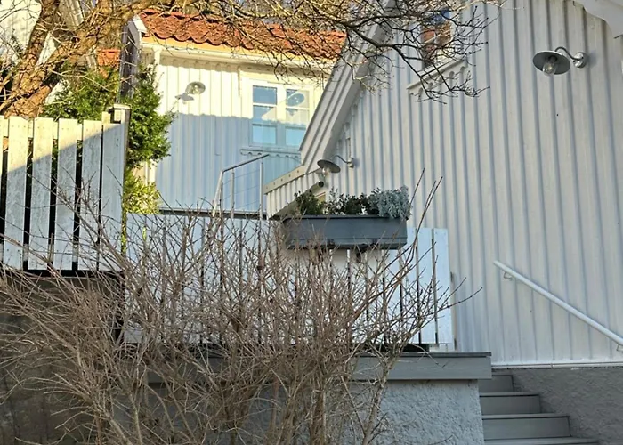 Anekset