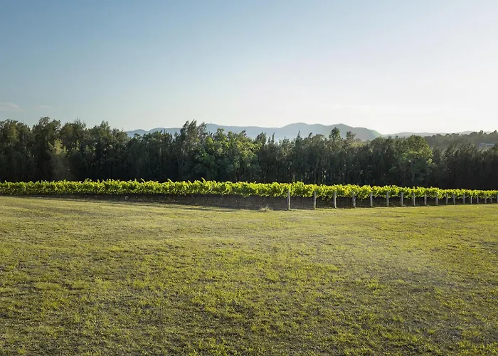 Red Door Collective - Rdc Vineyard Estate, Luxury Adult Only Stay