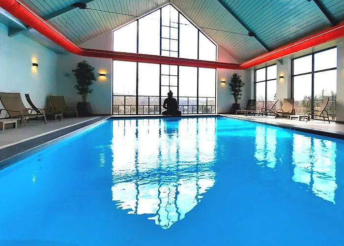 Hôtel accueillant les animaux: Azur En Ardenne