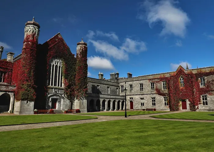 Guest house: Number 53