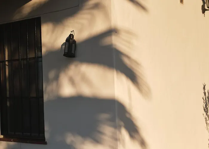 Hotel que admite mascotas: Vela Luka Frigiliana