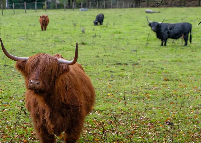 Family Hotel: Briery Wood Hotel