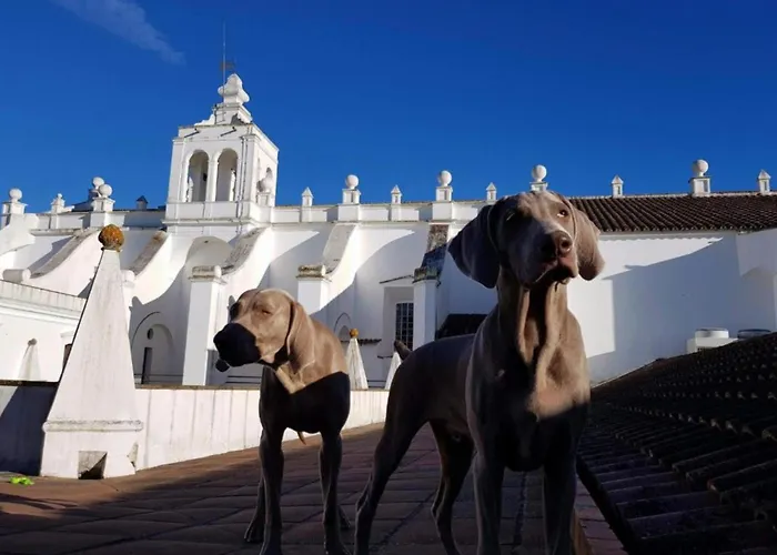 Convento Do Espinheiro, Historic & Spa